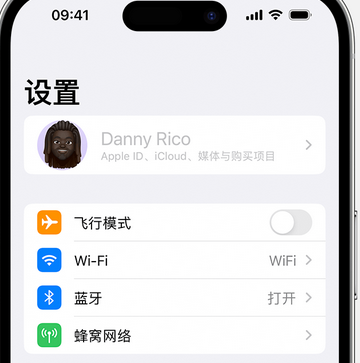 大渡口appleID维修服务iPhone设置中Apple ID显示为灰色无法使用 