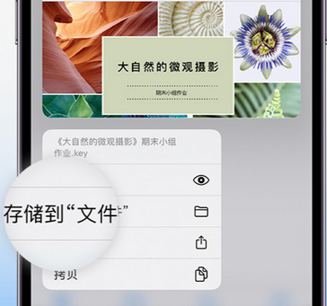 大渡口apple维修中心分享iPhone文件应用中存储和找到下载文件