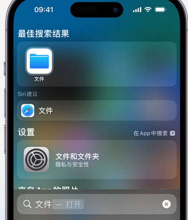 大渡口apple维修中心分享iPhone文件应用中存储和找到下载文件