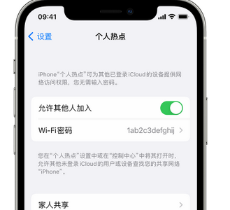 大渡口apple服务站点分享iPhone上个人热点丢失了怎么办