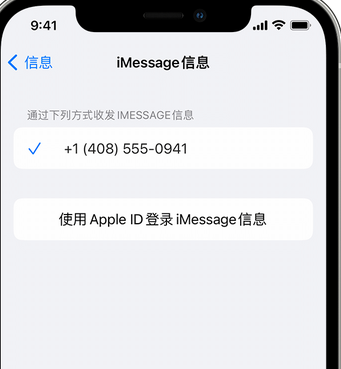 大渡口apple维修iPhone上无法正常发送iMessage信息