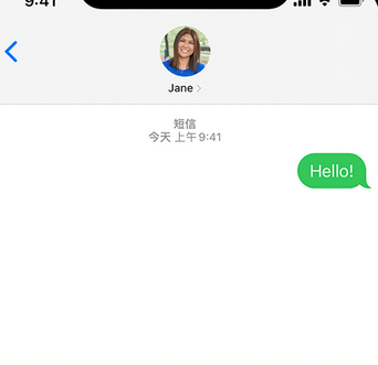 大渡口apple维修iPhone上无法正常发送iMessage信息