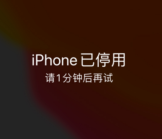 大渡口苹果手机维修分享:iPhone 显示“不可用”或“已停用”怎么办？还能保留数据吗？ 