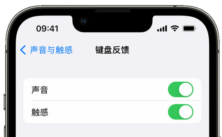 大渡口苹果手机维修分享iPhone 14触感键盘使用方法 