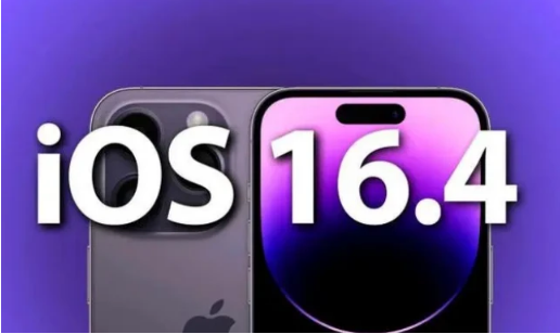 大渡口苹果14维修分享：iPhone14可以升级iOS16.4beta2吗？ 