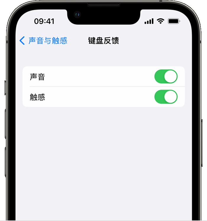 大渡口苹果14维修店分享如何在 iPhone 14 机型中使用触感键盘 