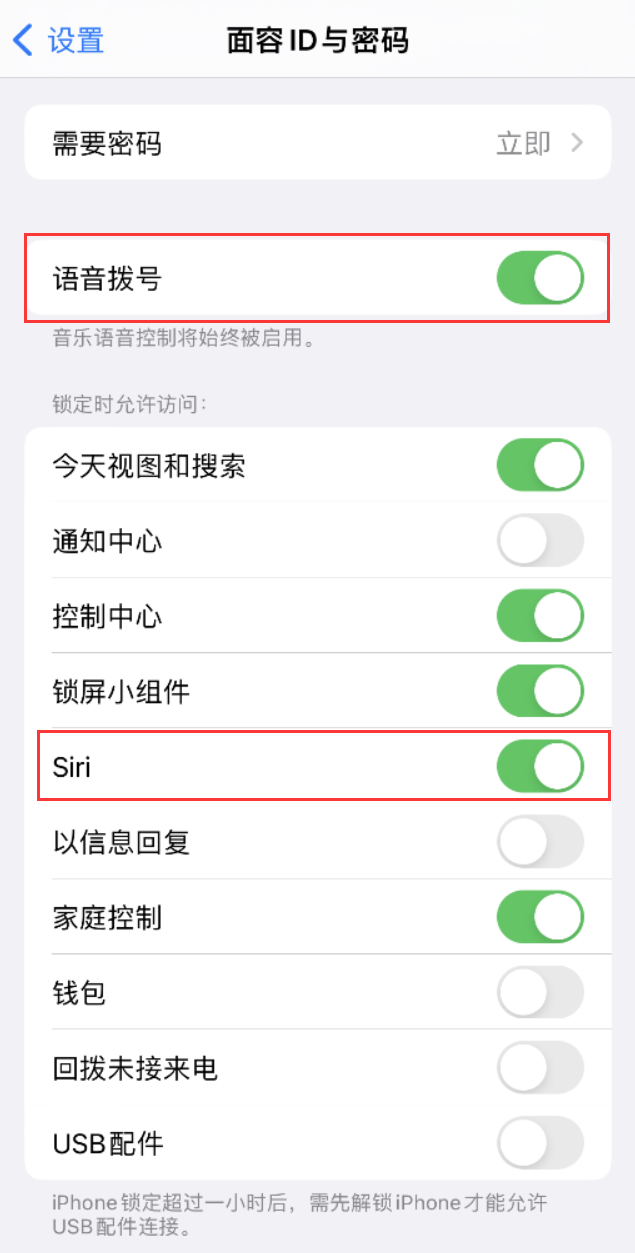 大渡口苹果维修网点分享不解锁 iPhone 的情况下通过 Siri 拨打电话的方法 