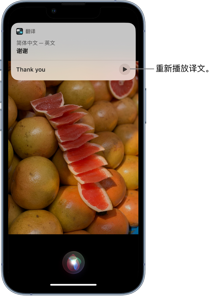 大渡口苹果14维修分享 iPhone 14 机型中使用 Siri：了解 Siri 能帮你做什么 