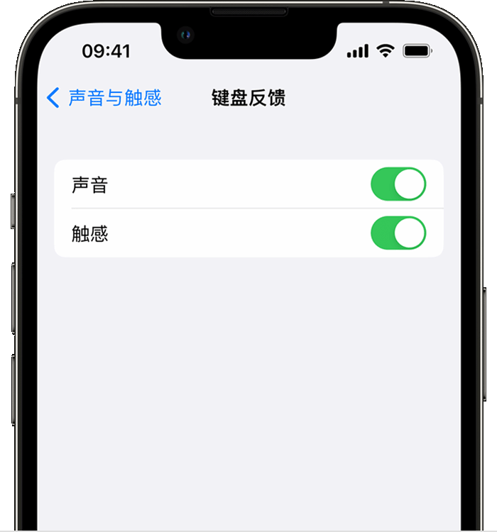 大渡口苹果14维修分享iPhone 14 系列机型如何开启键盘声音或触感反馈 