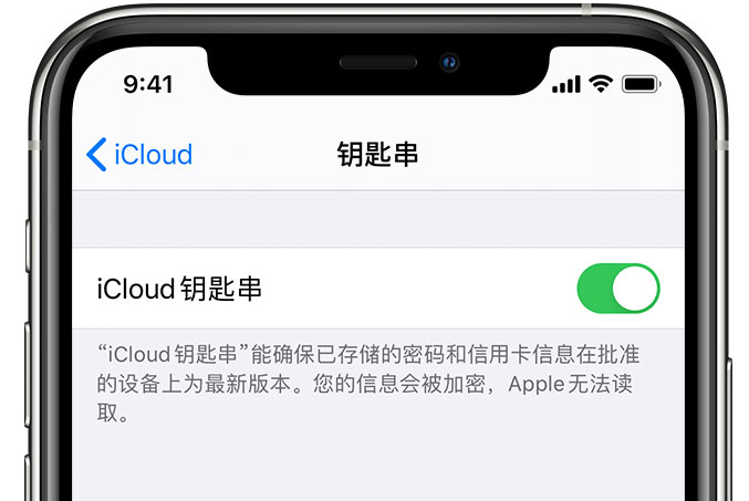 大渡口苹果手机维修分享在 iPhone 上开启 iCloud 钥匙串之后会储存哪些信息 