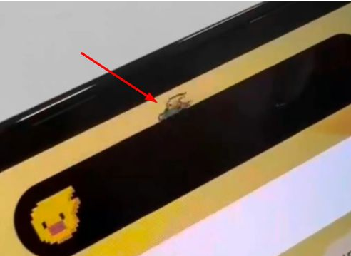 大渡口苹果14维修分享iPhone 14 Pro Max灵动岛怎么养宠物 