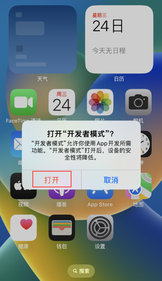 大渡口苹果手机维修分享如何打开开发者模式 