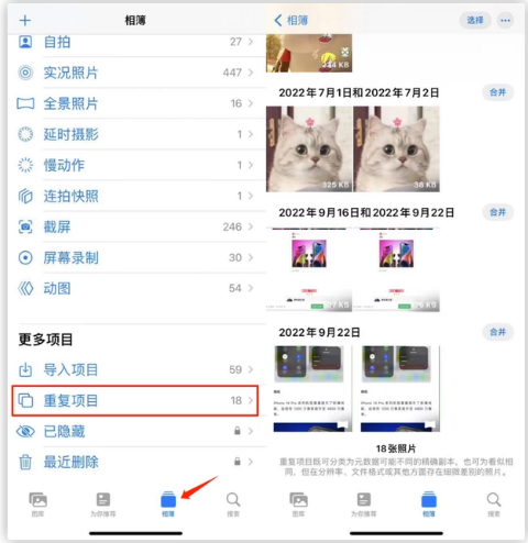 大渡口苹果手机维修分享iOS 16 中相册重复项目功能使用方法 