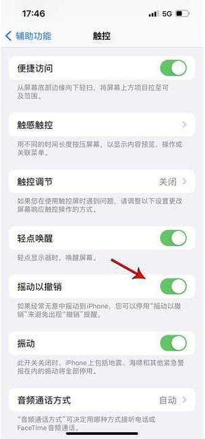 大渡口苹果手机维修分享iPhone手机如何设置摇一摇删除文字 