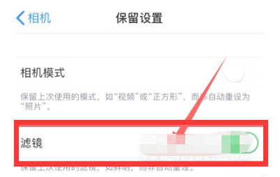 大渡口苹果13维修分享iPhone13拍照有绿点是怎么回事 