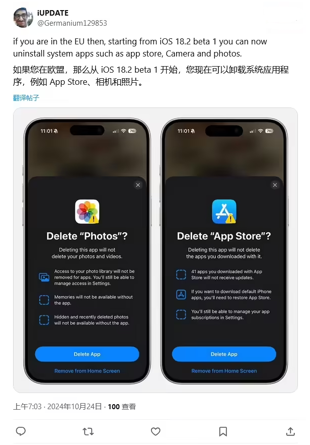 大渡口苹果手机维修分享iOS 18.2 支持删除 App Store 应用商店 