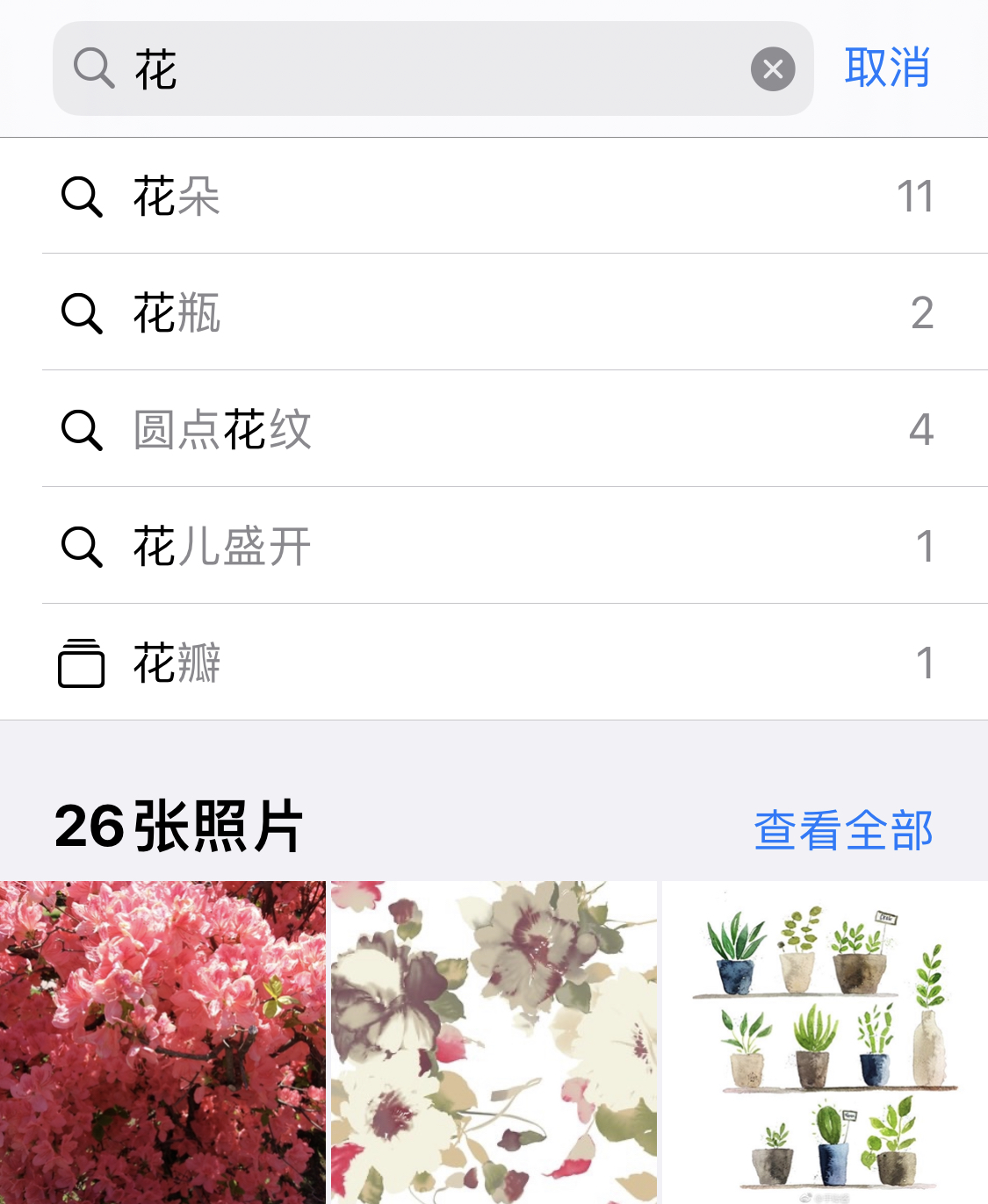 大渡口苹果手机维修分享iPhone 小技巧 