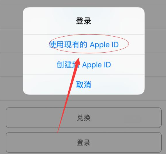 大渡口苹果手机维修分享两台iPhone设备可以同时登录一个Apple ID吗 
