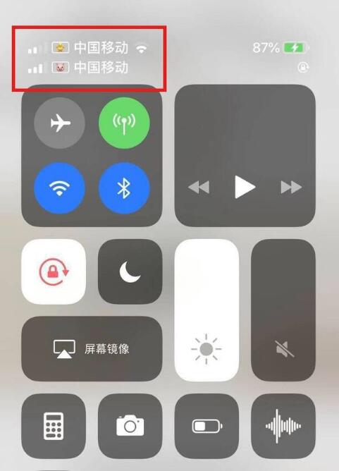 大渡口苹果手机维修分享为 iPhone 12 双卡设置标签 