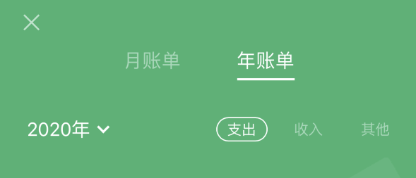 大渡口苹果手机维修分享如何在 iPhone 上查看支付宝和微信年支出账单 