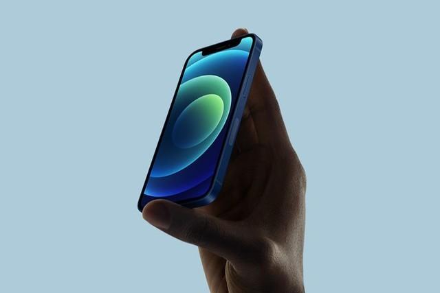 大渡口苹果手机维修分享iPhone 12 mini辐射很大吗 