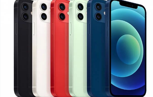 大渡口苹果维修点分享iPhone12 Pro Max进水维修 